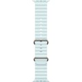 Obrázok pre výrobcu Apple Watch 49mm Ice Blue Ocean Band - Natural Titanium Finish